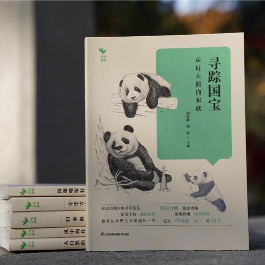 《寻踪国宝：走近大熊猫家族》 商品图1
