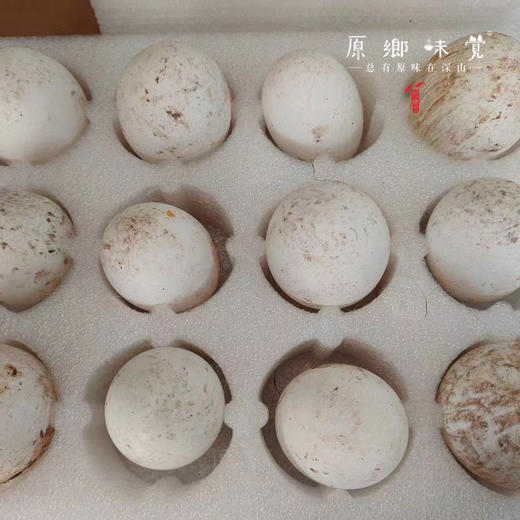 【预售需等】生态鹅蛋【基地直发-京东快递】| 12枚/盒，来自四川简阳，生产者：德福【合作生产，公平贸易】 商品图5