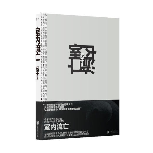 室内流亡 远子 首部诗集 商品图0