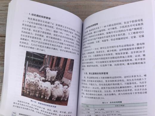健康高效养羊实用技术大全（第二版） 商品图3