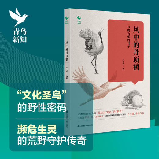 风中的丹顶鹤——相伴“湿地仙子”的日子 商品图2