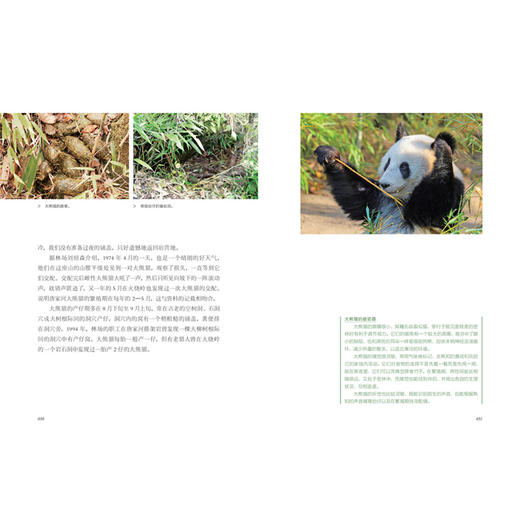 寻踪国宝——走近大熊猫家族 商品图6
