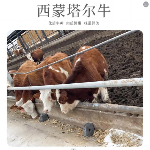 【疆品南下】大疆有礼丨南疆西门塔尔牛肉-牛腩 1KG 商品图3