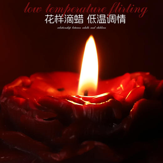 久爱SM情趣低温蜡烛捆绑套装女性滴蜡情趣成人用品另类玩道具调教 商品图3