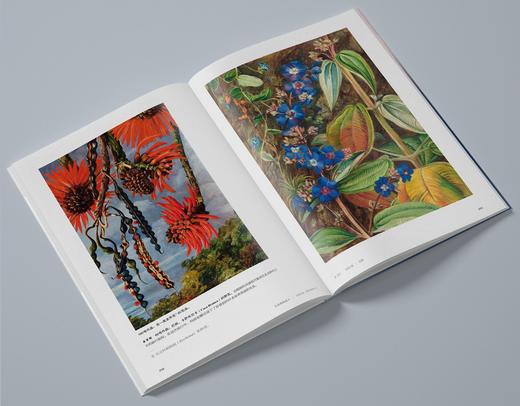 大自然的恋人——玛丽安娜·诺斯的画旅人生 商品图5