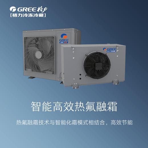 格力·低温系列热氟融霜制冷机组 3匹 GNJ-QFT3CD/NaRD1 顶(配GLF-D351R64F/A) 商品图1