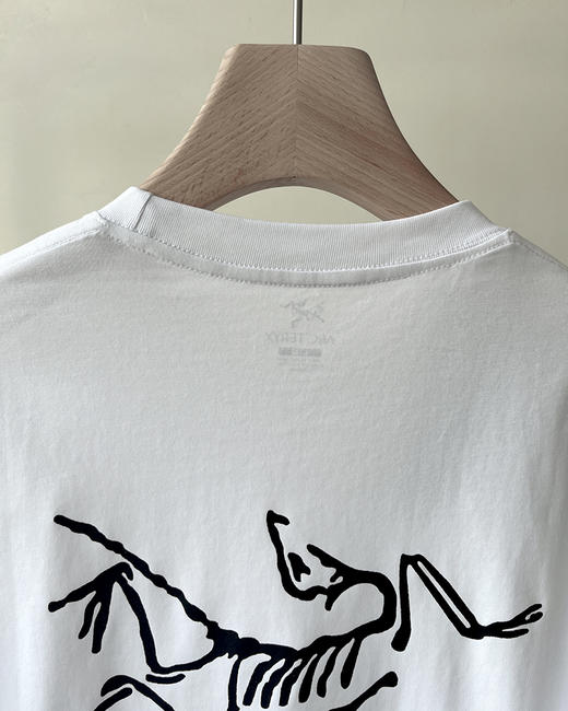 现货 THS 5.25-限时 鸟家 男士 logo印花T恤 4色 AH2436 商品图10