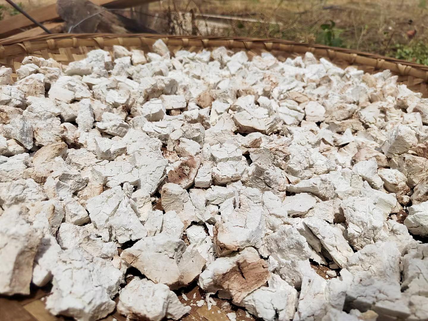 茯苓|云南永仁深山