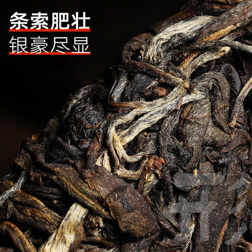茶马世家丨茶客系 品饮级 普洱生茶饼 2015年原料 200g 商品图1