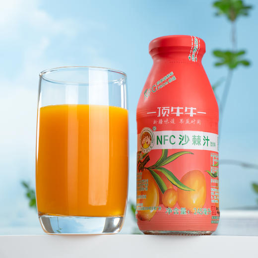s新疆顶牛牛NFC胡萝卜汁/沙棘汁245ml/瓶 商品图6