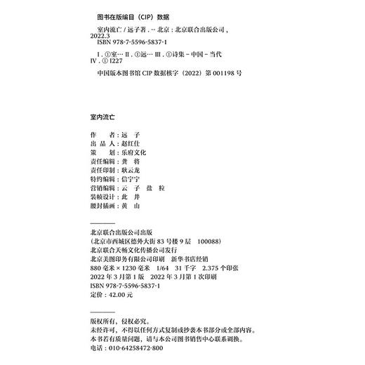 室内流亡 远子 首部诗集 商品图3