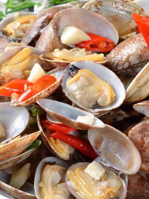 青岛特产鲜活大哈蜊红岛花蛤蜊贝类海鲜野生海鲜鲜活蛤蜊 商品图3