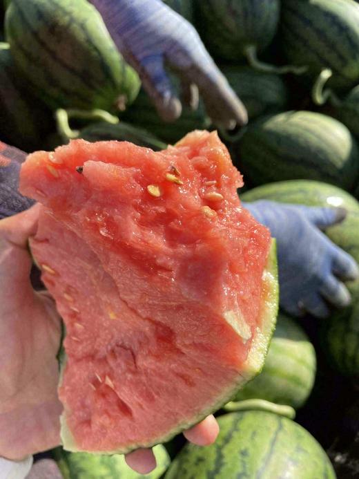 2K 小西瓜 【单个】 商品图2