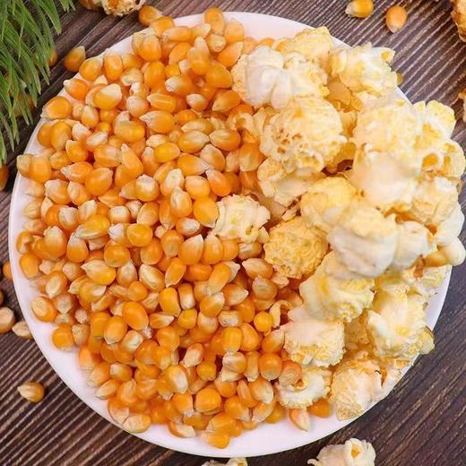 【买2送1，新疆乌苏爆米花玉米】一年一季，颗粒饱满，严格筛选，软糯弹滑，口感微甜玉米粒500克球形原料美式五谷杂粮 商品图4