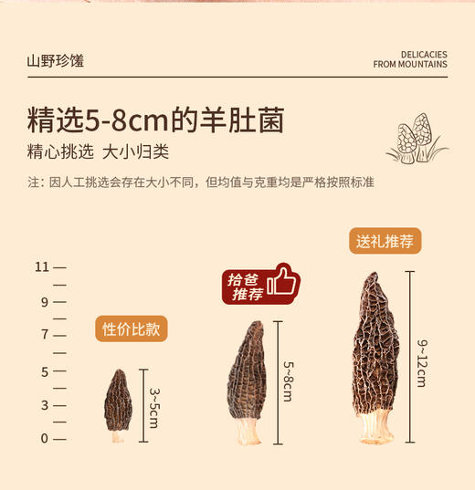 拾爸家⠀羊肚菌 | 甄选云南头茬5-8cm 当季食材 保留鲜菌质地细腻 口感饱满顺滑 菌香浓郁 无熏硫不添加 商品图4