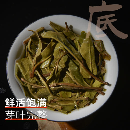 茶马世家丨茶客系 品饮级 普洱生茶饼 2015年原料 200g 商品图4
