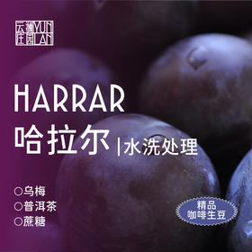 云澜庄园 精品咖啡生豆 哈拉尔 水洗  1KG（埃塞原生种）（该产品仅售3KG以内生豆产品，如需更多重量分开下单即可）（此商品不包邮，如需顺丰，需额外联系客服改运费价格）