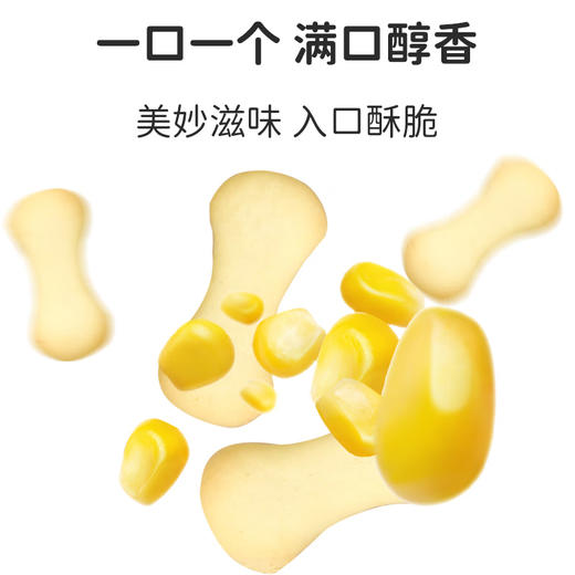 本丁敏星无小麦棒棒饼干玉米味100g 商品图3
