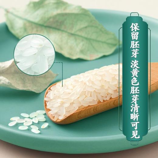 【“有生命的米”！大米鲜胚芽米】农家种植，保留大米胚芽，小胚芽，大营养！粳米谷物米搭配 商品图3