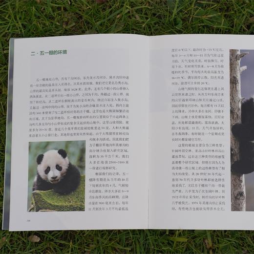 《寻踪国宝：走近大熊猫家族》 商品图11