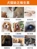 普安特猫咪复合维生素b溶液宠物狗狗皮肤病猫藓口炎溃疡趾间炎症 商品缩略图1