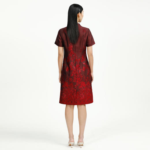 戴布拉芬连衣裙L27B524 商品图3