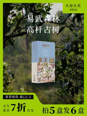 2024茶王树 春茶7折现货 普洱茶生茶 14g/盒