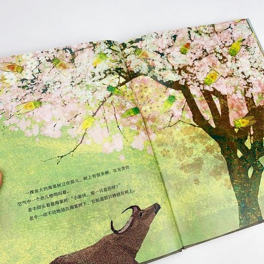 蝉与老牛 商品图3