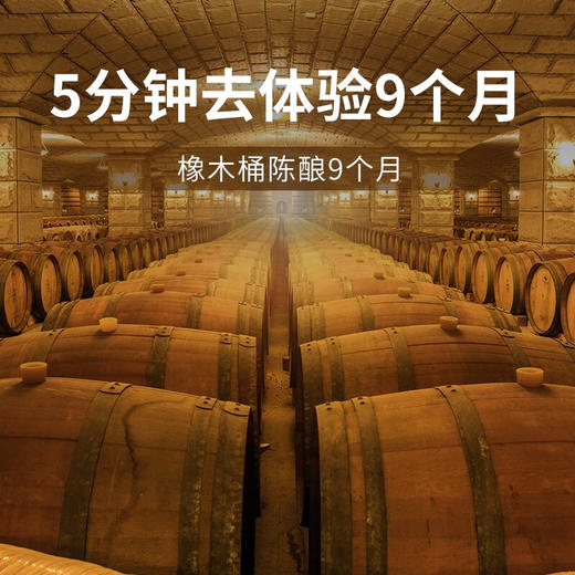张裕特选级解百纳n118干红葡萄酒 整箱750ml*6瓶包邮 商品图3