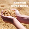 【买2送1，农家黄豆1200g更值】黑龙江黑河产地，农人严选粒粒饱满，营养丰富！真空新货五谷杂粮黄大豆发芽豆浆 商品缩略图0