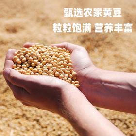 【买2送1，农家黄豆1200g更值】黑龙江黑河产地，农人严选粒粒饱满，营养丰富！真空新货五谷杂粮黄大豆发芽豆浆