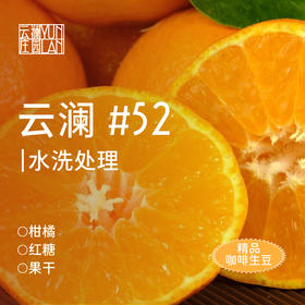 云澜庄园 精品咖啡生豆 云澜52 1KG（SL34 水洗 铁皮卡系 ）（该产品仅售3KG以内生豆产品，如需更多重量分开下单即可）（此商品不包邮，如需顺丰，需额外联系客服改运费价格）