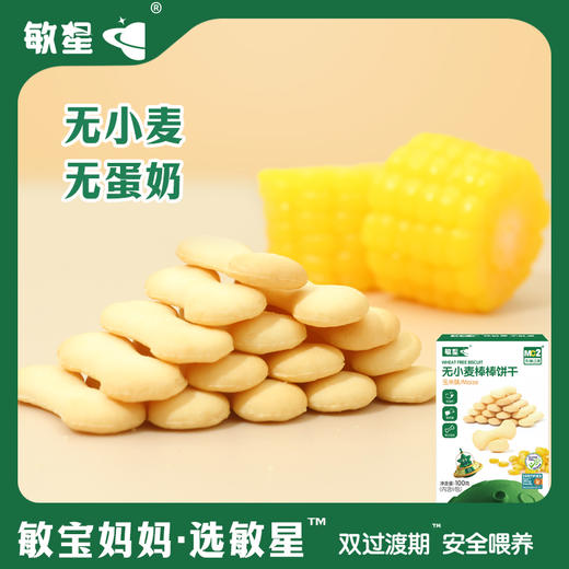 本丁敏星无小麦棒棒饼干玉米味100g 商品图1