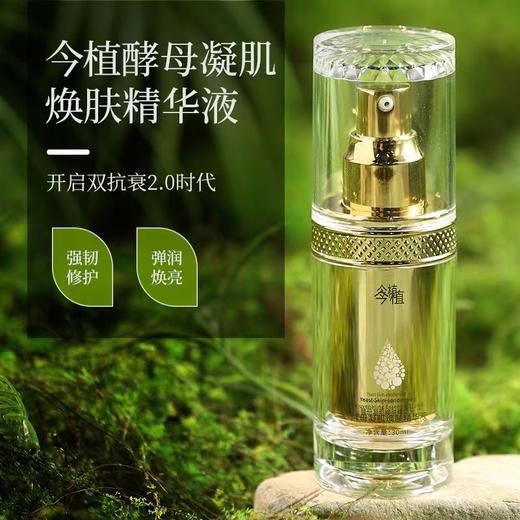 今植凝肌焕肤精华液 商品图0