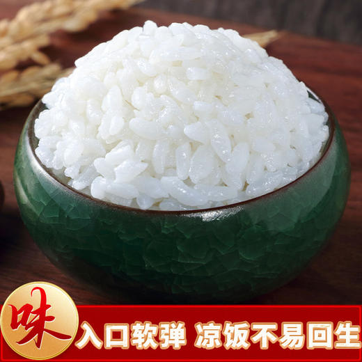 【东北严选！黑龙江珍珠米1500g更值】当季品质新米，圆润饱满，晶莹剔透，软糯香甜，米香四溢，米饭劲道有嚼劲！圆粒米粳米真空包装大米 商品图3