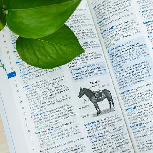 牛津初阶英汉双解词典(第5版) 商品图9