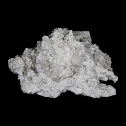 砗磲贝壳基座 商品图10