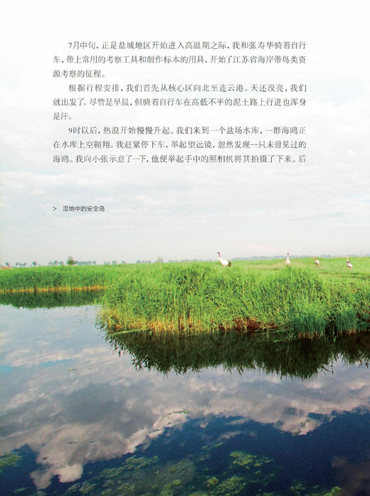 《风中的丹顶鹤：相伴“湿地仙子”的日子》 商品图10