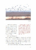 《风中的丹顶鹤：相伴“湿地仙子”的日子》 商品缩略图12