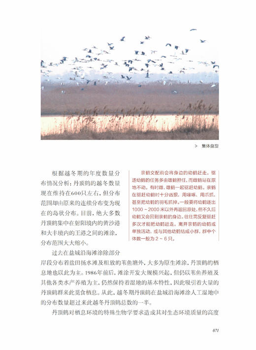《风中的丹顶鹤：相伴“湿地仙子”的日子》 商品图12