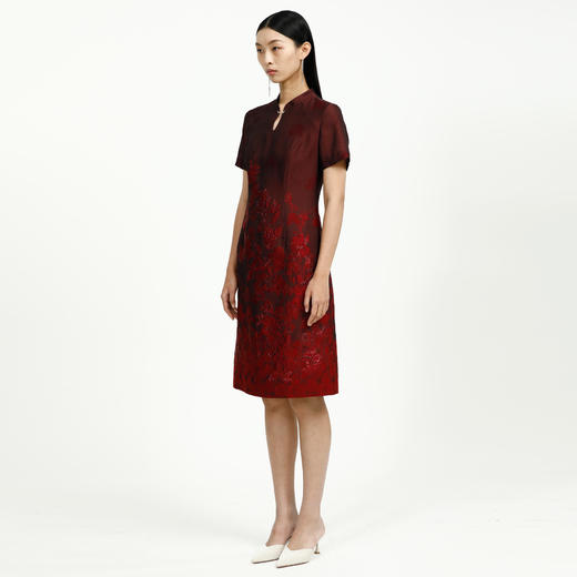 戴布拉芬连衣裙L27B524 商品图2