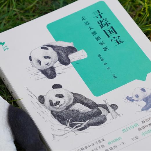 《寻踪国宝：走近大熊猫家族》 商品图3