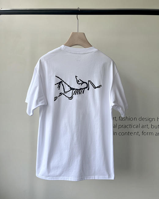 现货 THS 5.25-限时 鸟家 男士 logo印花T恤 4色 AH2436 商品图9