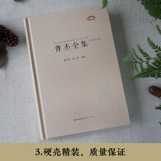 曹丕全集(汇校汇注汇评) 商品图2