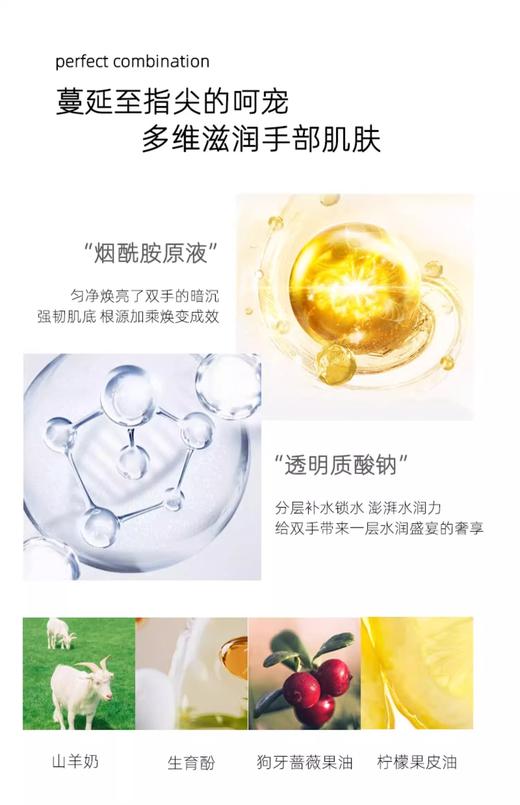 【中欧班列精选】澳洲进口 Oliviam澳莉维亚茶树精华手霜50ml 商品图4
