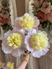 精品芍药花普利梅尔樱草 商品缩略图1