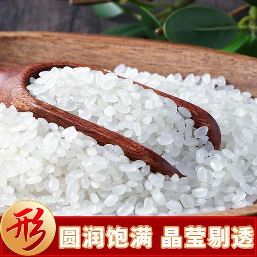 【东北严选！黑龙江珍珠米1500g更值】当季品质新米，圆润饱满，晶莹剔透，软糯香甜，米香四溢，米饭劲道有嚼劲！圆粒米粳米真空包装大米 商品图1
