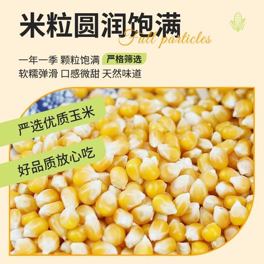【买2送1，新疆乌苏爆米花玉米】一年一季，颗粒饱满，严格筛选，软糯弹滑，口感微甜玉米粒500克球形原料美式五谷杂粮 商品图2