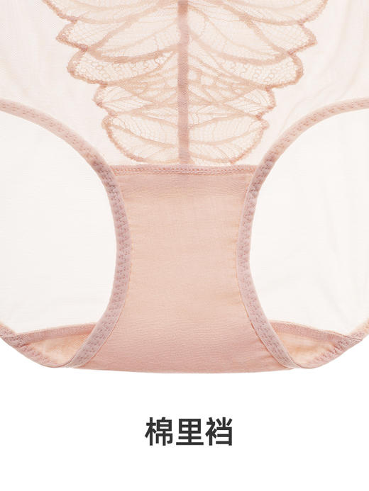 【月桂女神】遐中腰平角裤性感蕾丝仿丁字裤纯棉裆超薄速干内裤女 商品图4