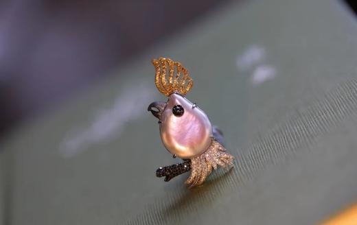 葵花凤头鹦鹉 商品图1